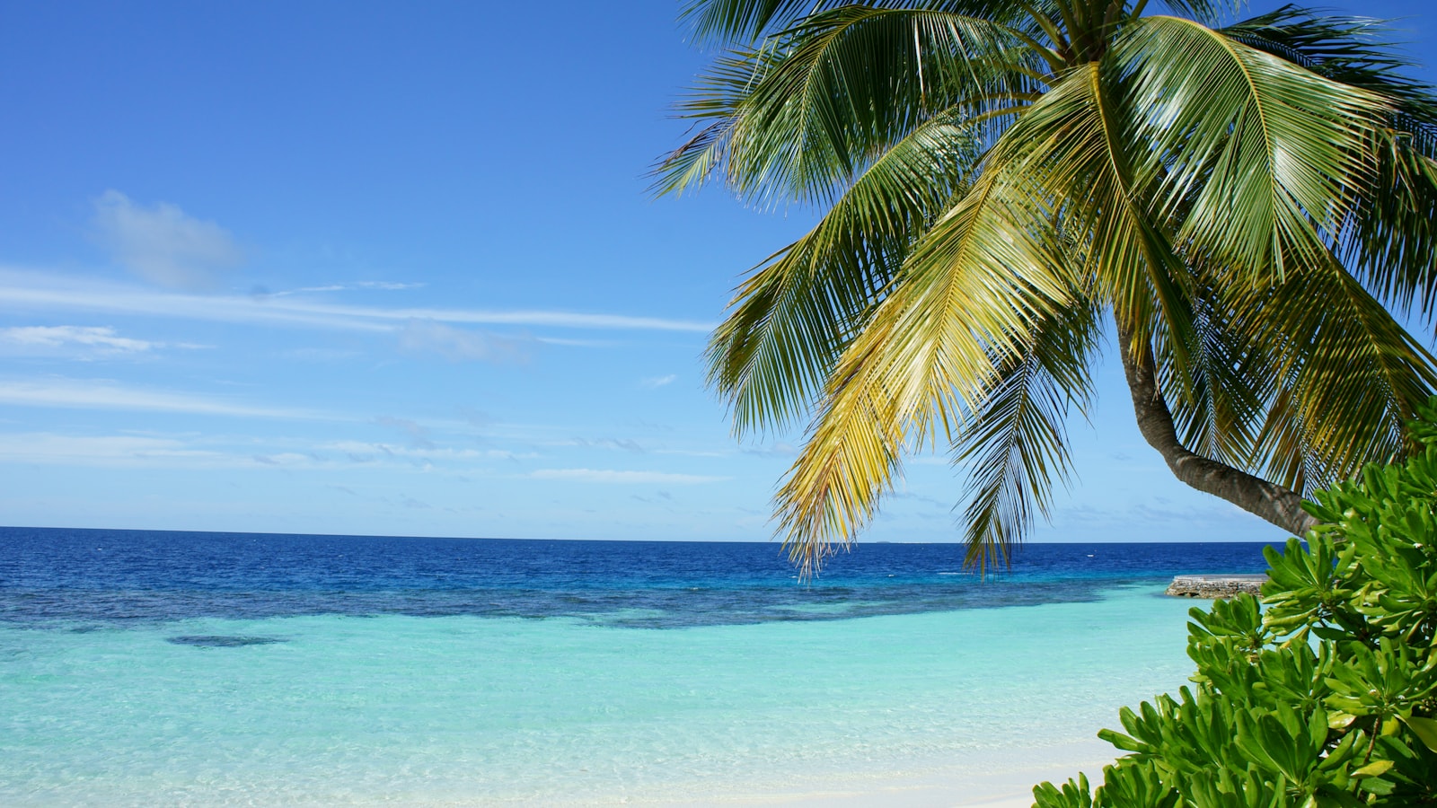 Expedition-style vessel route across open blue water for luxury cruise planning