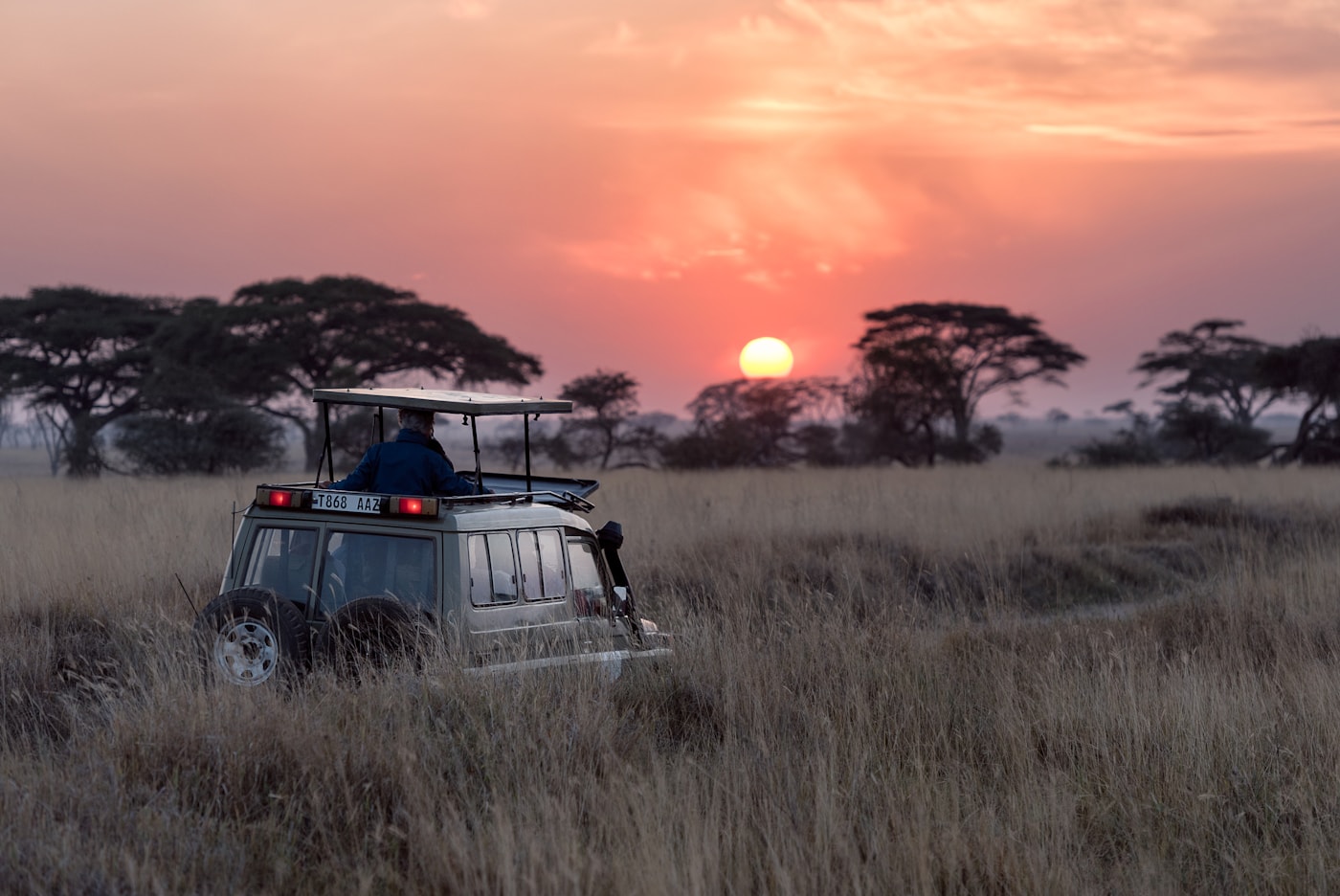 Safari vehicle crossing the savannah at sunset